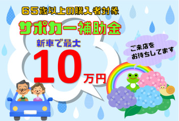 ≪サポカー補助金≫再度検討してみては？