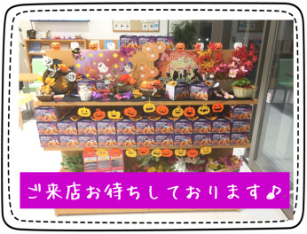 ★準備万端です★