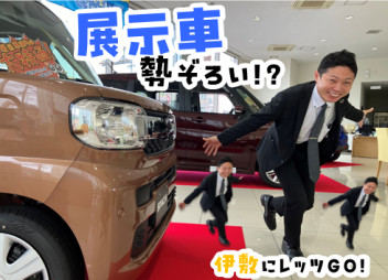 そうだ！車を見に行こう♪