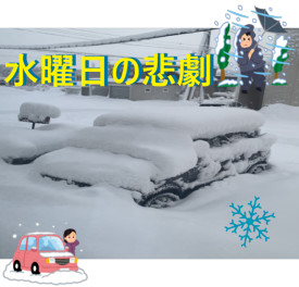 雪はねで正月太りを改善しました！スズキカードキャンペーンご案内