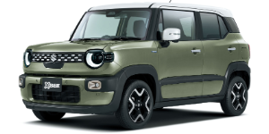 タフカーキパールメタリックホワイト2トーンルーフ