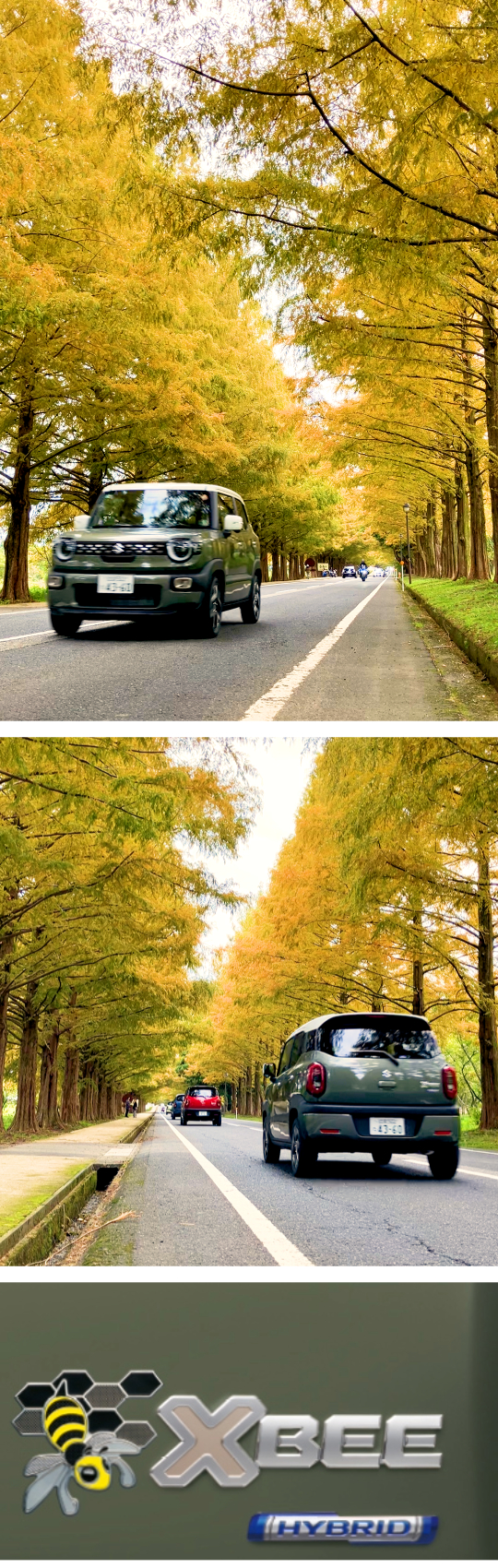 タフカーキパールメタリックホワイト2トーンルーフ_フォト