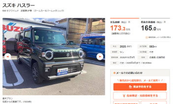 ハスラータフワイルド