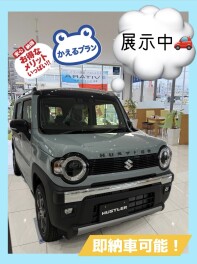 ハスラータフワイルドご納車できます！