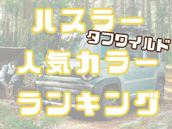 ★タフワイルドの人気カラーランキング★