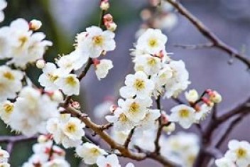 スズキの日　春第2弾！！