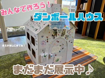 ダンボールハウス引き続き展示中！遊びに来てね♪