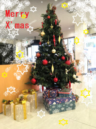 クリスマスツリーかざりました☆