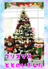 クリスマスツリー完成！