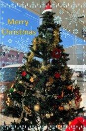 クリスマスツリー