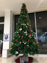 冬の装飾ディスプレイ！クリスマス！