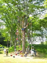 本日より夏季休暇になります