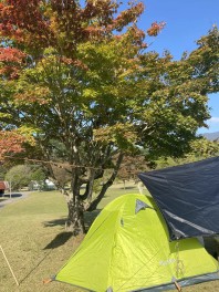 秋のソロキャンプ