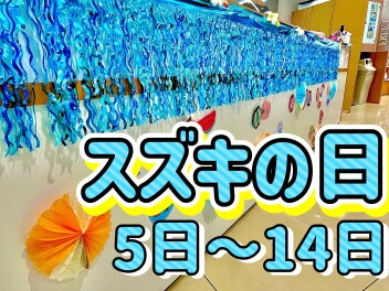 ディスプレイコンテストのブログ