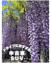 FOOKS企画！春のブログリレー！