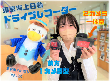 DAPって何？