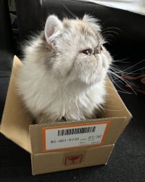 ５日目(=^・^=)