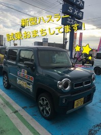 新型ハスラー試乗してみませんか？