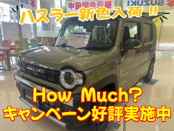 新色ハスラーー入荷！！＆HowMuch？キャンペーン好評開催中