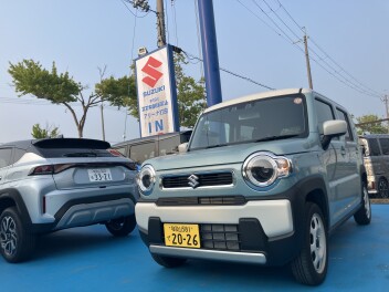 週末展示会のお知らせ！！