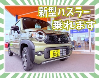 新型ハスラー試乗車あります！