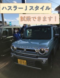 特別仕様車登場