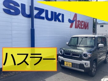 ８月スタート！豊富に取り扱っています！