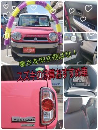 暑さを吹き飛ばせ！スズキの決算おすすめ車！