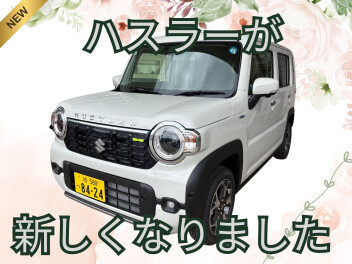 ＼ハスラーの試乗車がやってきました！／