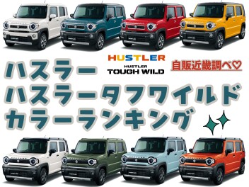 【カラーランキング】ハスラー・ハスラータフワイルド※スズキ自販近畿調べ