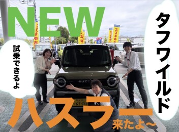 NEWハスラータフワイルド入りました！