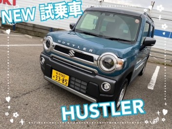 NEW試乗車入りました！！