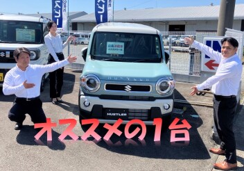 展示車限定!!大人気のハスラーにオススメ車をご用意しました！