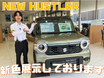 ☆店内展示車が変わりました☆