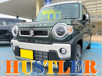 NEW試乗車ご紹介