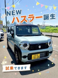 ＮＥＷハスラーご試乗できます！