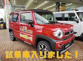 ハスラー試乗車入りました！