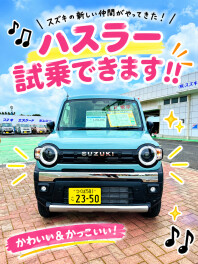 今週末展示会開催！！