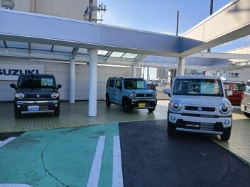 ハスラー４台見られます♪