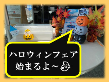 ハロウィンフェア始まりまーす！！！