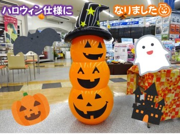 ハロウィン仕様になりました☆週末はスズキの日☆