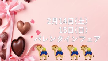 バレンタインフェア　開催のご案内です！