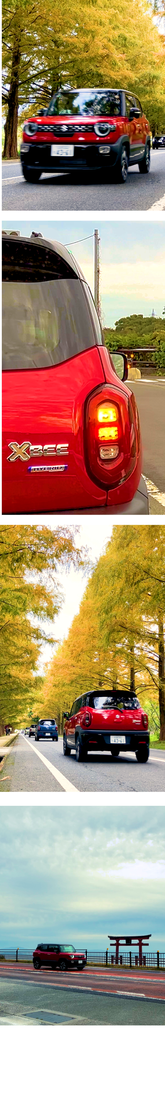 バーニングレッドパールメタリックブラックタフ2トーンフォト