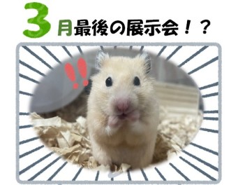 ３月最後です!!