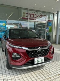 フロンクス　展示中☆彡