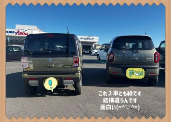 週末は是非ともスズキアリーナ日立北へ♡