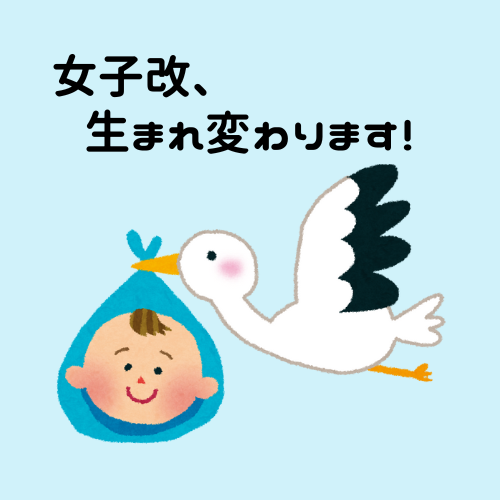 ブログトップ画
