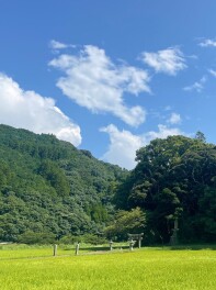 ドライブDEカフェ巡りVOL.2