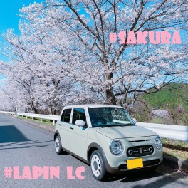 ♡ＦＯＯＫＳ女子改企画♡周辺の桜スポット＆車紹介