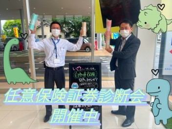 お車の保険見直しませんか？？？